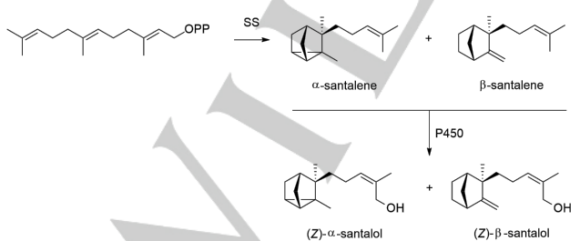 生物合成香料的化學(xué)組成、可持續(xù)性和天然性